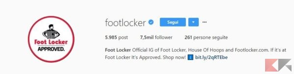 Sedicidee - Seguimi e ti regalo un buono sconto! La nuova frontiera delle bufale su Instagram - account verificato footlocker instagram